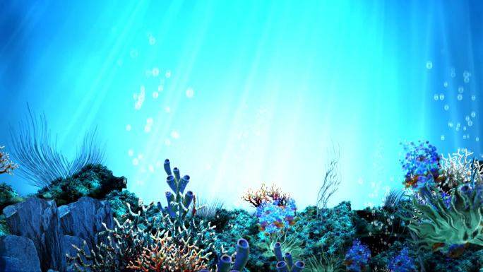 海底世界-珊瑚礁