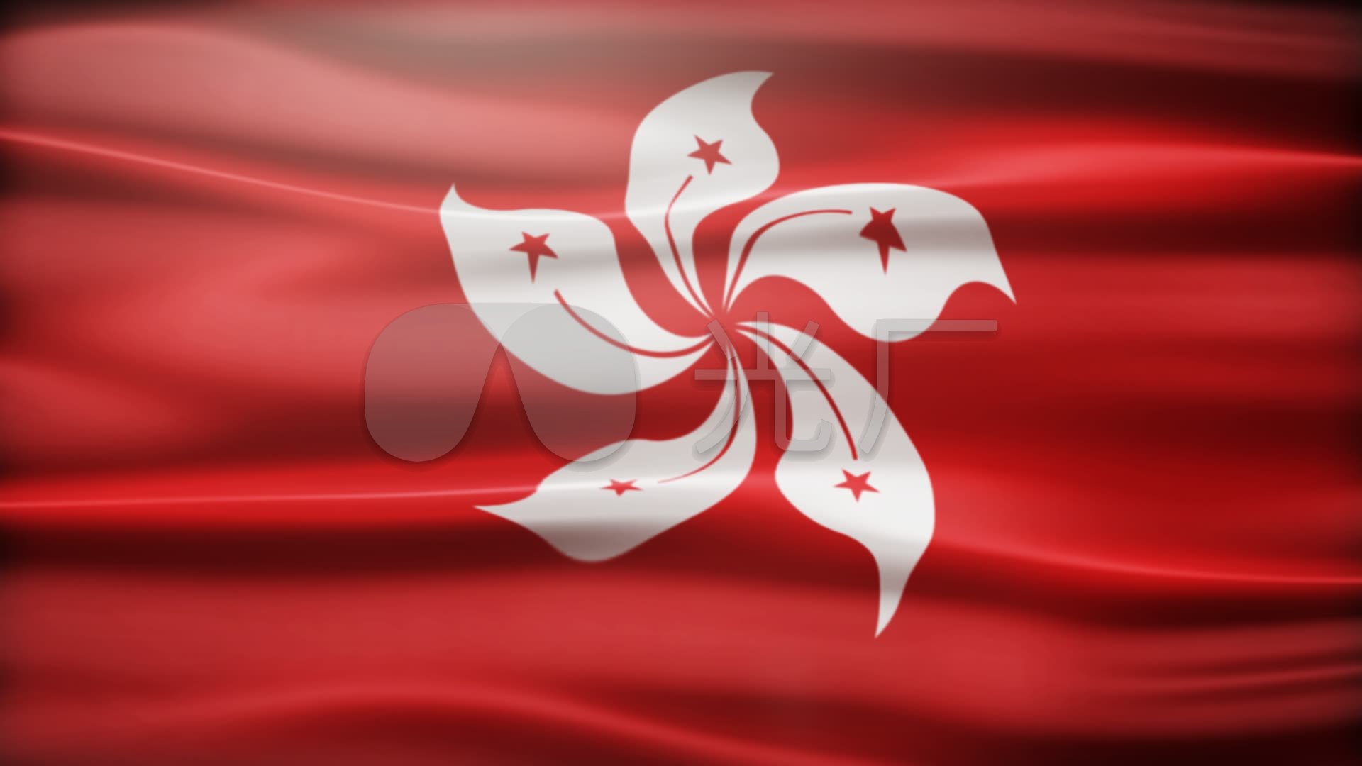 紫荆花旗香港区旗飘扬旗帜招展中国梦统一