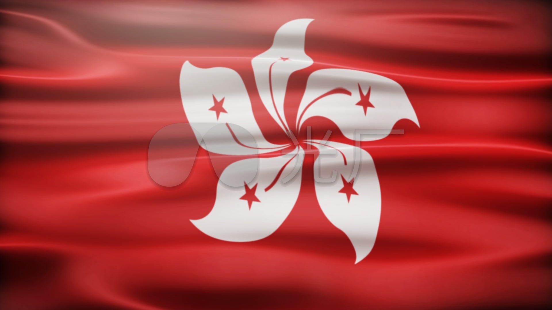 紫荆花旗香港区旗飘扬旗帜招展中国梦统一