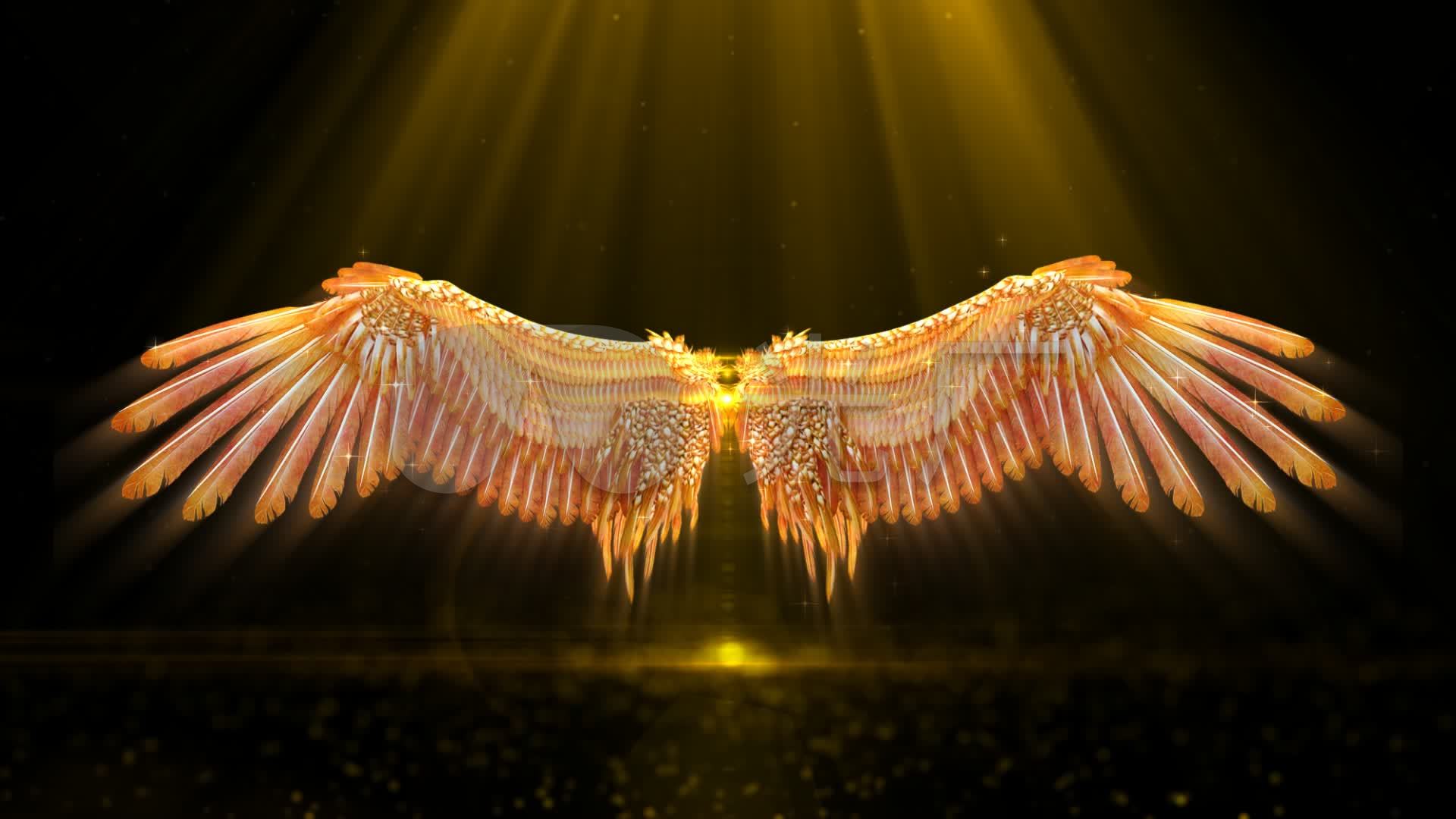 金色高贵翅膀素材下载免费下载 - 觅知网