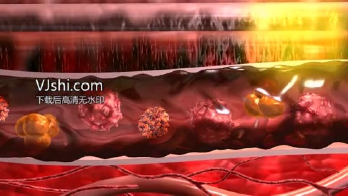 血管有毒蛋白酶白细胞介素