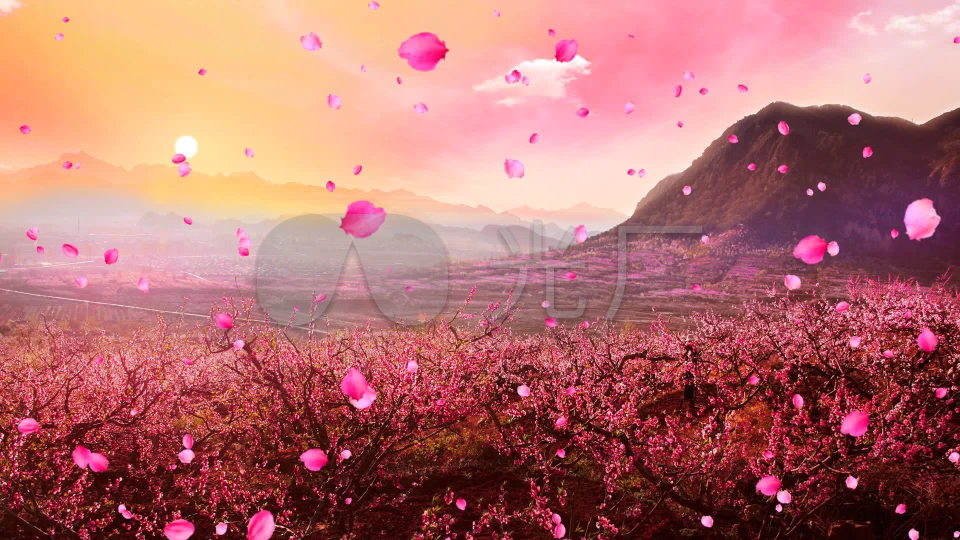 唯美桃花林