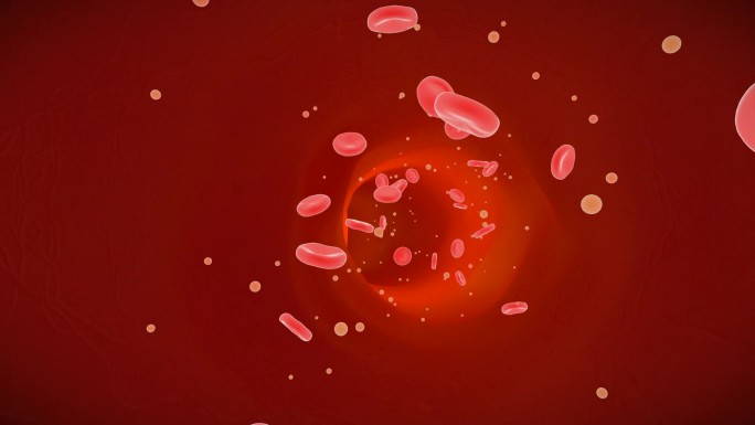 细胞穿越血管动画
