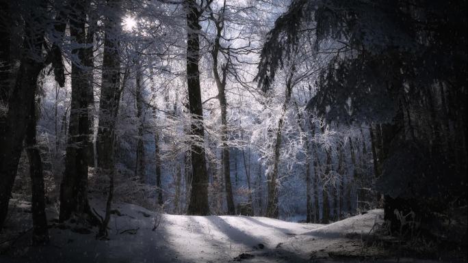 雪景