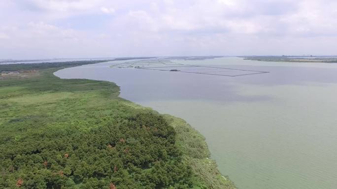 阳澄湖航拍4K素材大桥湖面水面