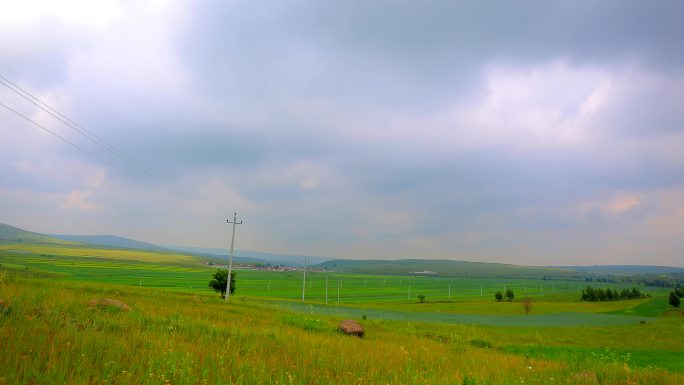 内蒙古草原、花田、花海、自然风景、油画