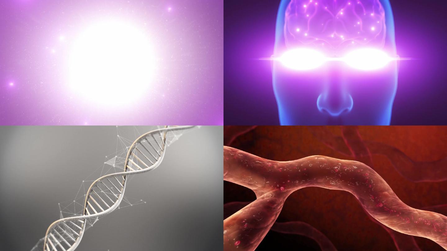 细胞DNA
