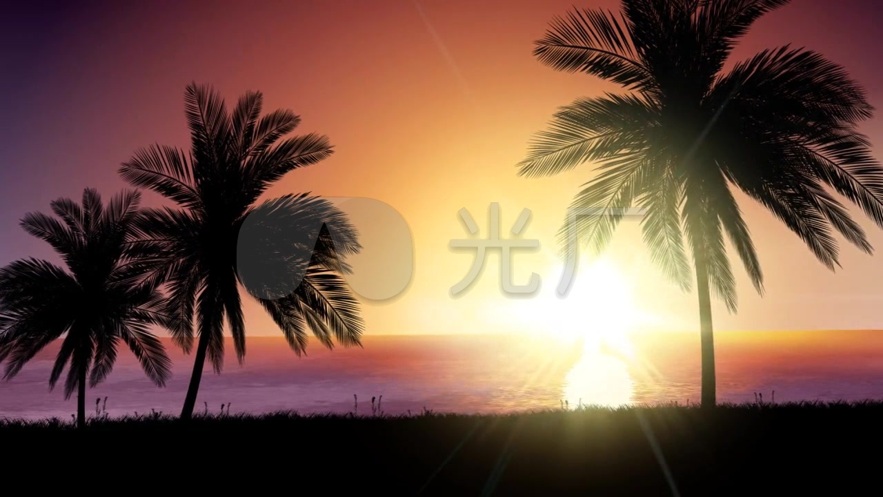 唯美海边椰子树剪影日落高清视频素材_1280x720_高清视频素材下载