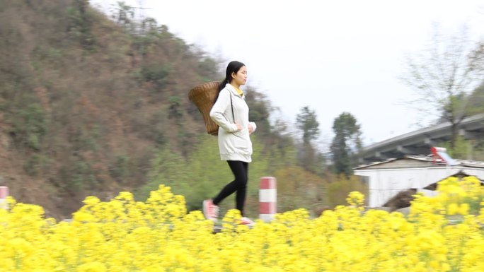 走过油菜花地的背篓少女