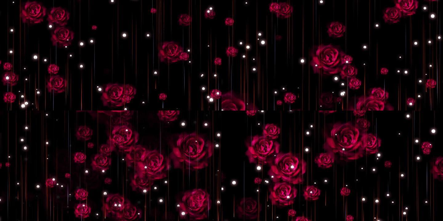 相恋红色玫瑰