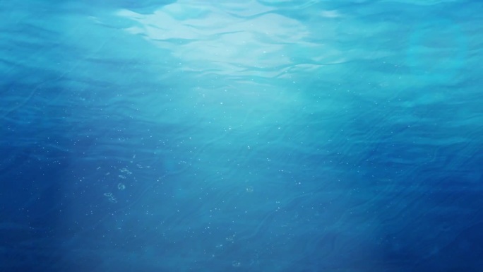 海洋水中视频素材