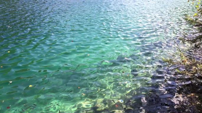 流水风景绿树旅游湖水