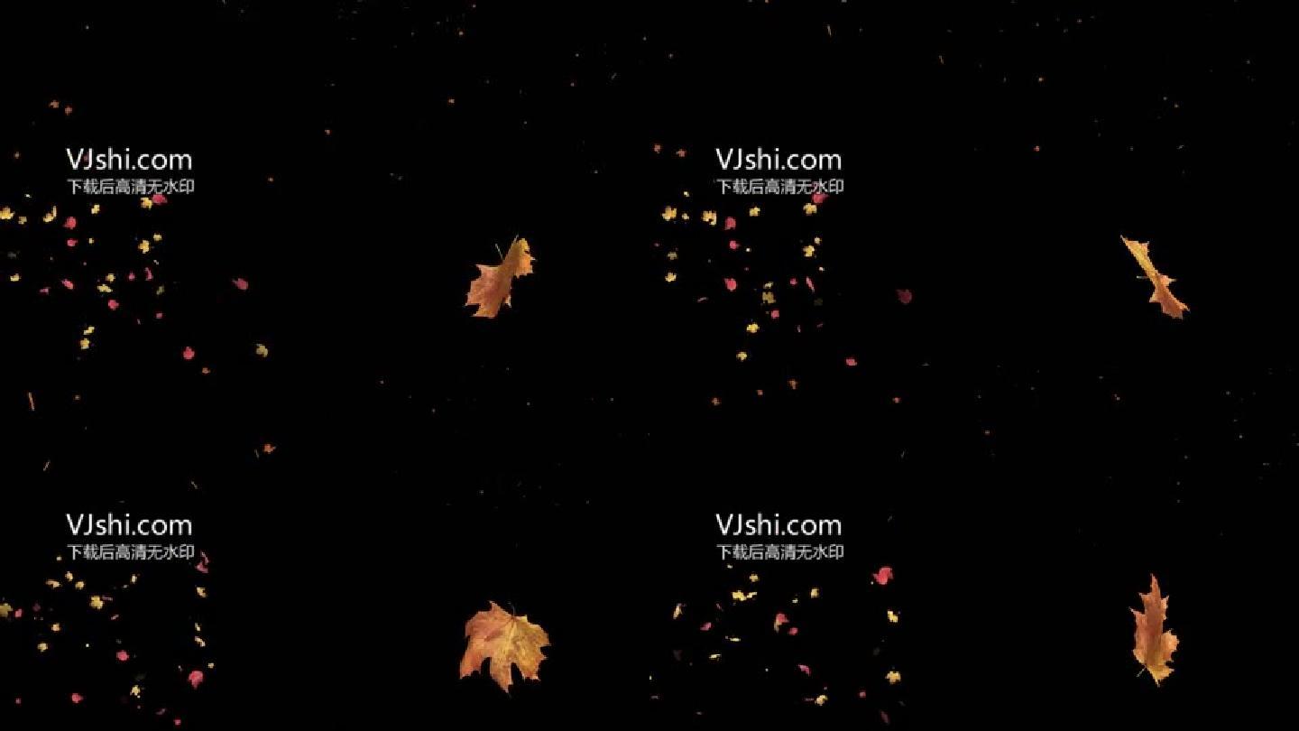 粒子橙色秋叶飘落高清视频素材