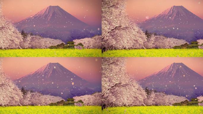 日本富士山樱花唯美