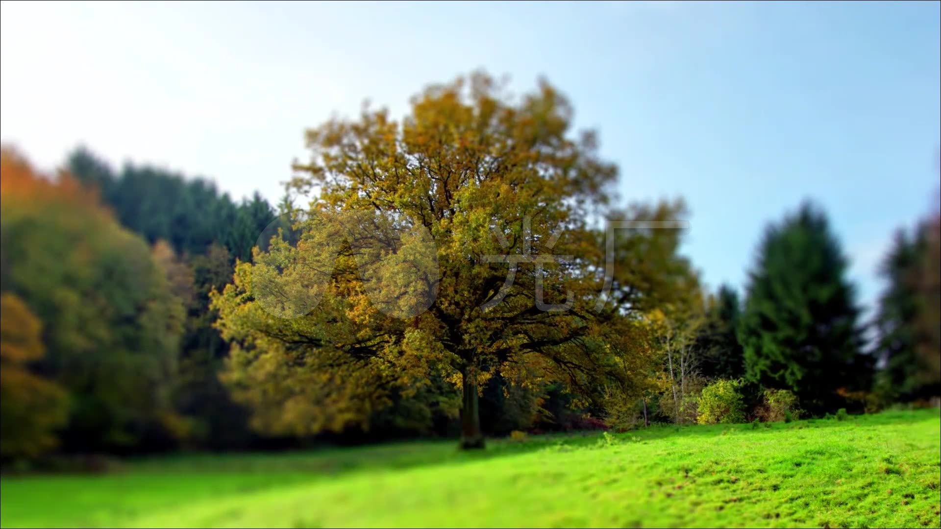 树木风光摄影的拍摄技巧，教你拍出不一样的风光大片 - 知乎