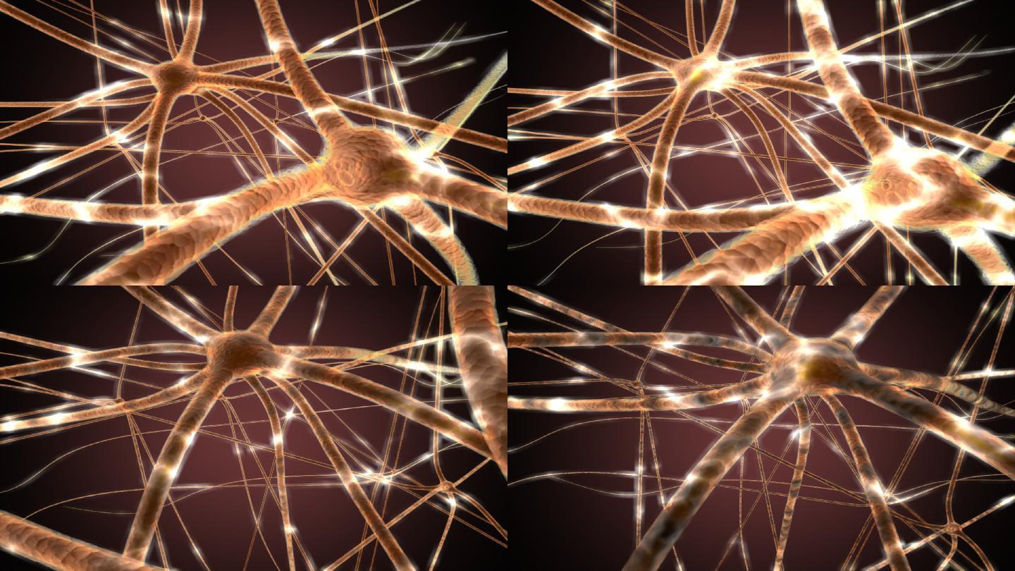 神经胶质细胞的改变有关