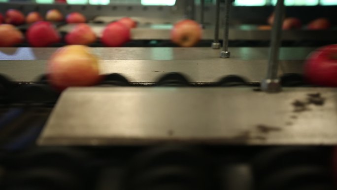 工厂加工苹果