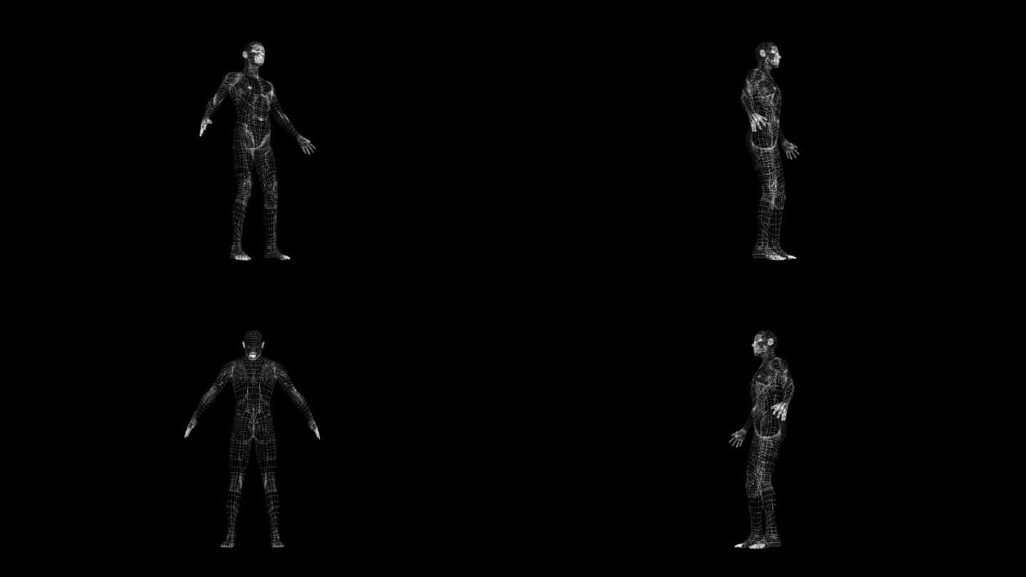 三维数字男人人体线框宇宙空间数字扫描