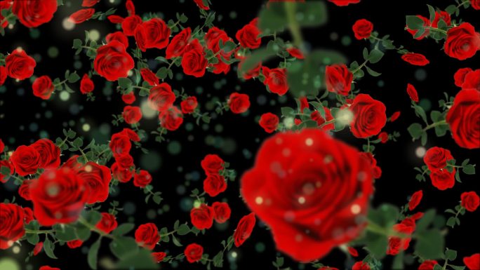3d浪漫玫瑰花满天飞舞带通道视频