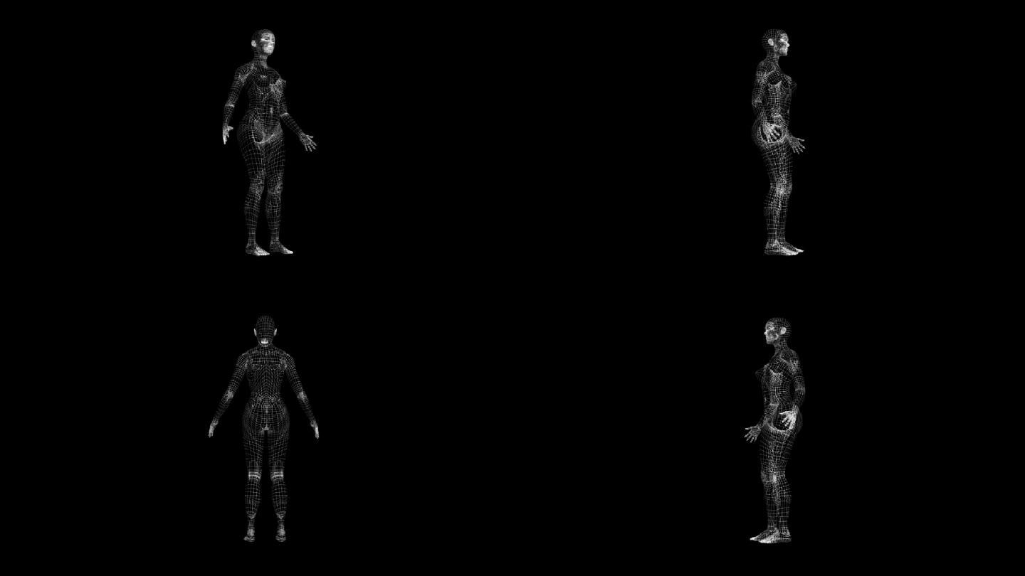 三维数字男人人体线框宇宙空间数字扫描