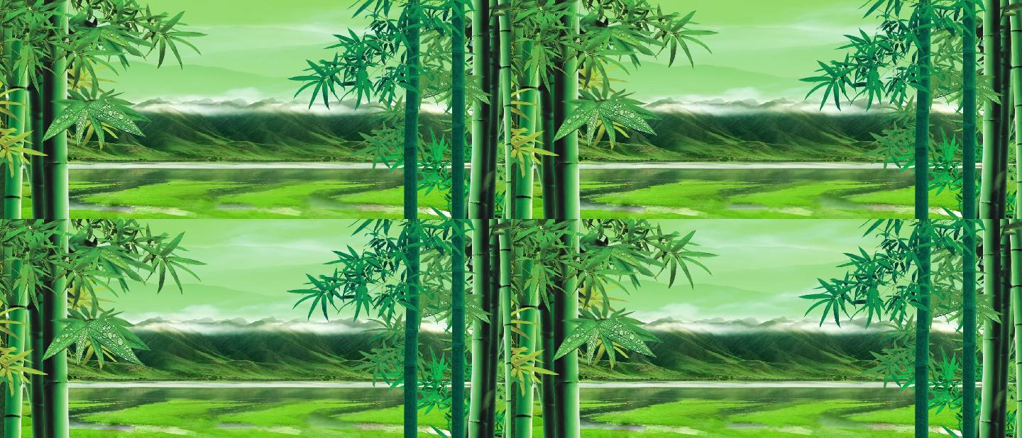 山水竹子竹林绿色水乡