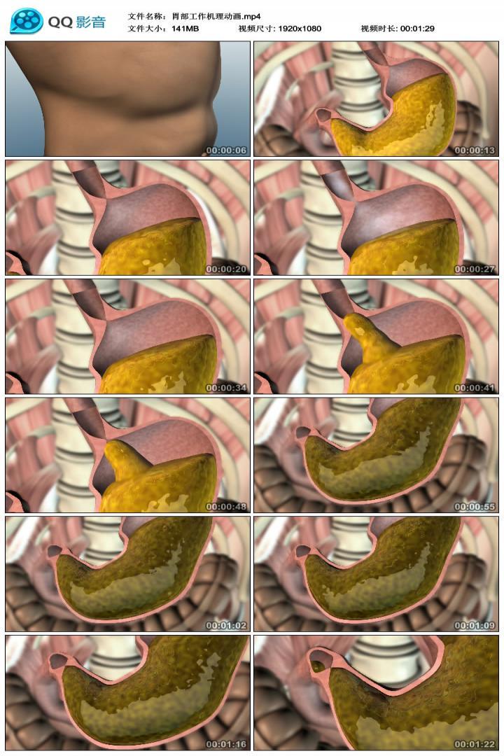 玉米是粗纤维食物吗_饮用水检测产酸产酸不产气_玉米是产气食物吗