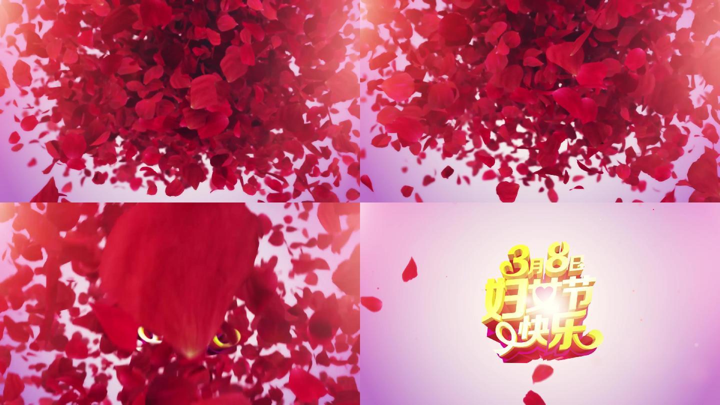 三八妇女节片头浪漫玫瑰花瓣洒落高清视频