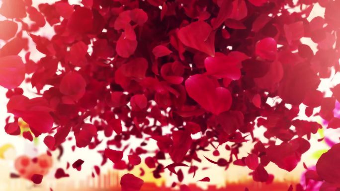 感恩母亲节片头浪漫玫瑰花瓣洒落高清视频