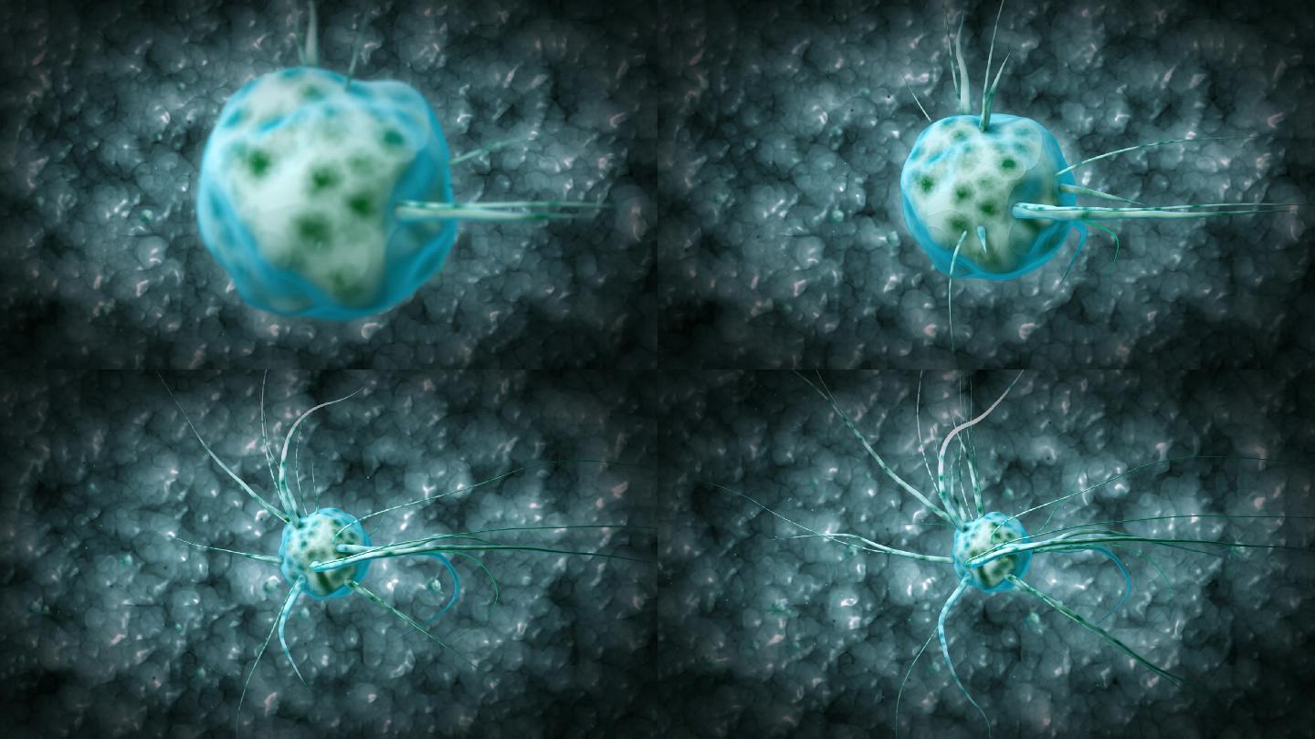 医学病毒抗体细菌模型演示特效视频
