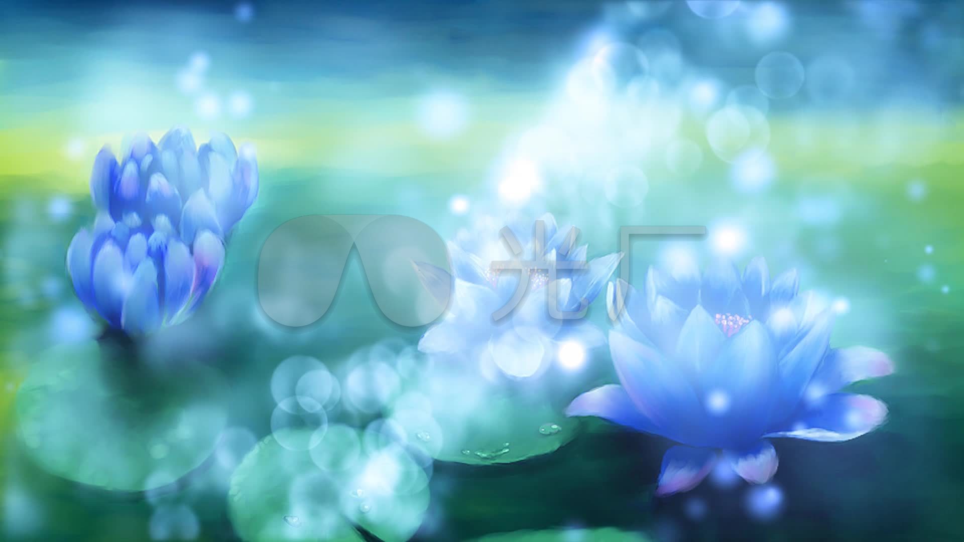 歌曲《蓝莲花》伴奏歌曲背景_1920X1080_高