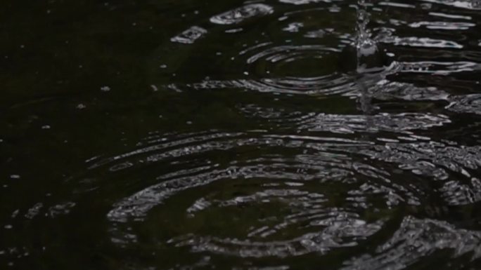 雨滴升格实拍