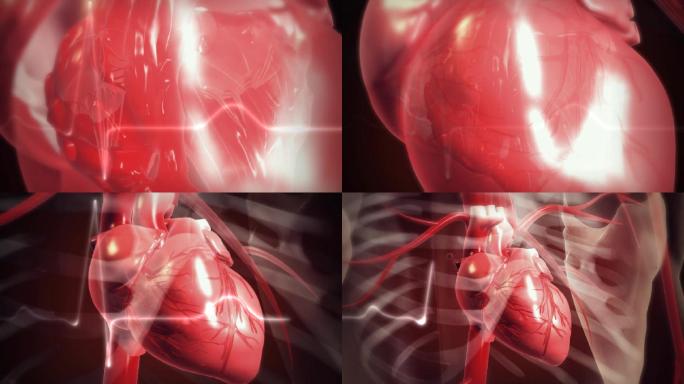 医疗医学心脏跳动