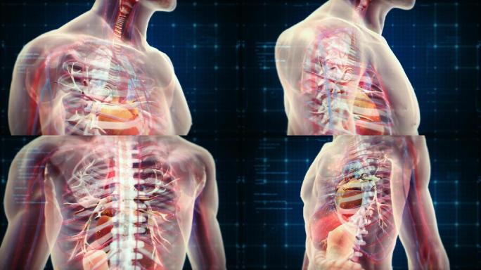 恢复机能提高免疫力