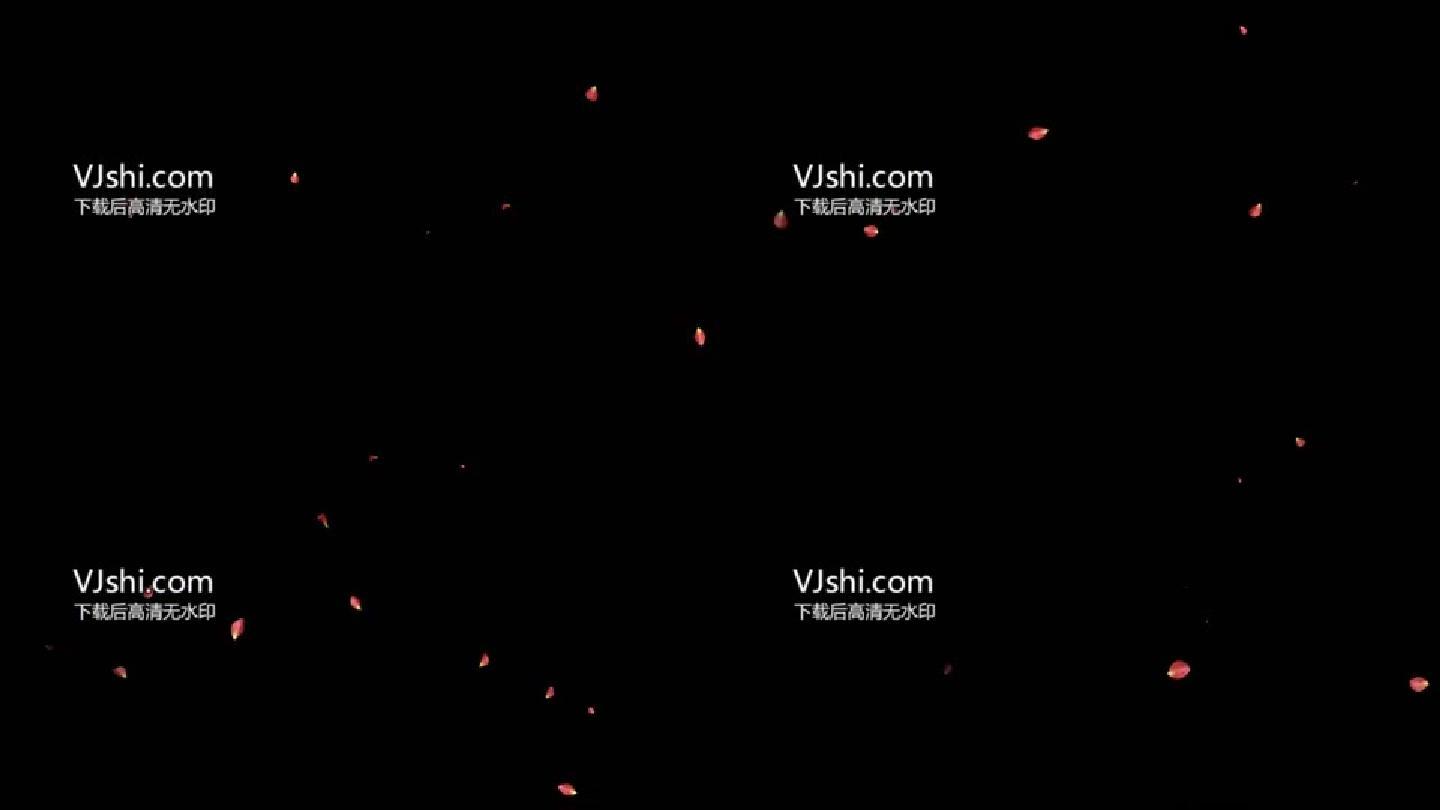 飘落的花瓣素材带通道（左到右）