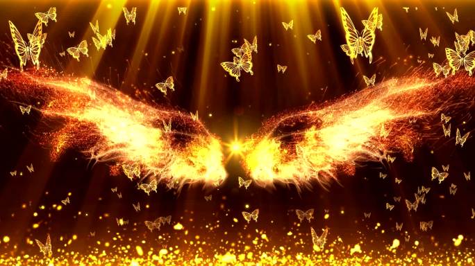 金色翅膀-蝴蝶飞舞-梦想舞台