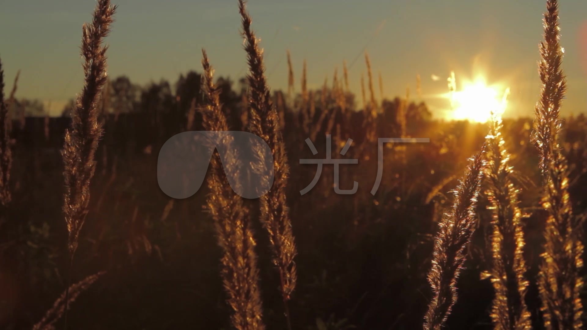 震撼日出大气太阳升起唯美自然景观
