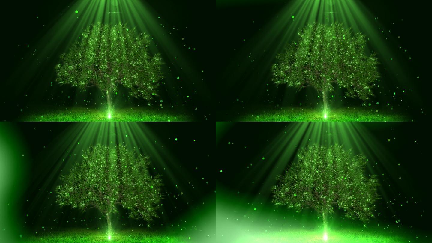 4k绿色生长粒子树