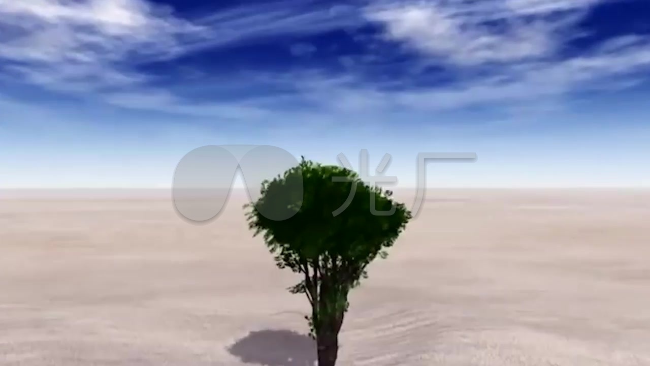 一滴水大树种子发芽植物生长