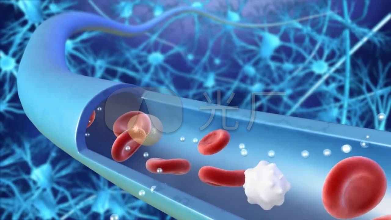 血管细胞3d动画
