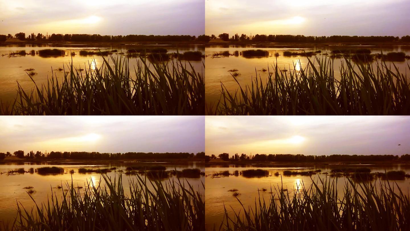 夕阳与河畔10