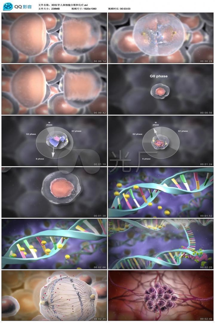 3d醫學人體細胞分裂和化療 【聲明】vj師網所有原創作品(含預覽圖)均