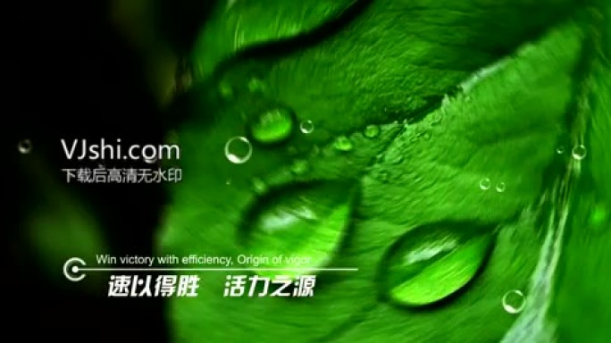 企业成长AE模版