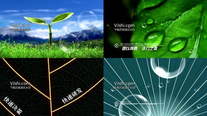 企业成长AE模版