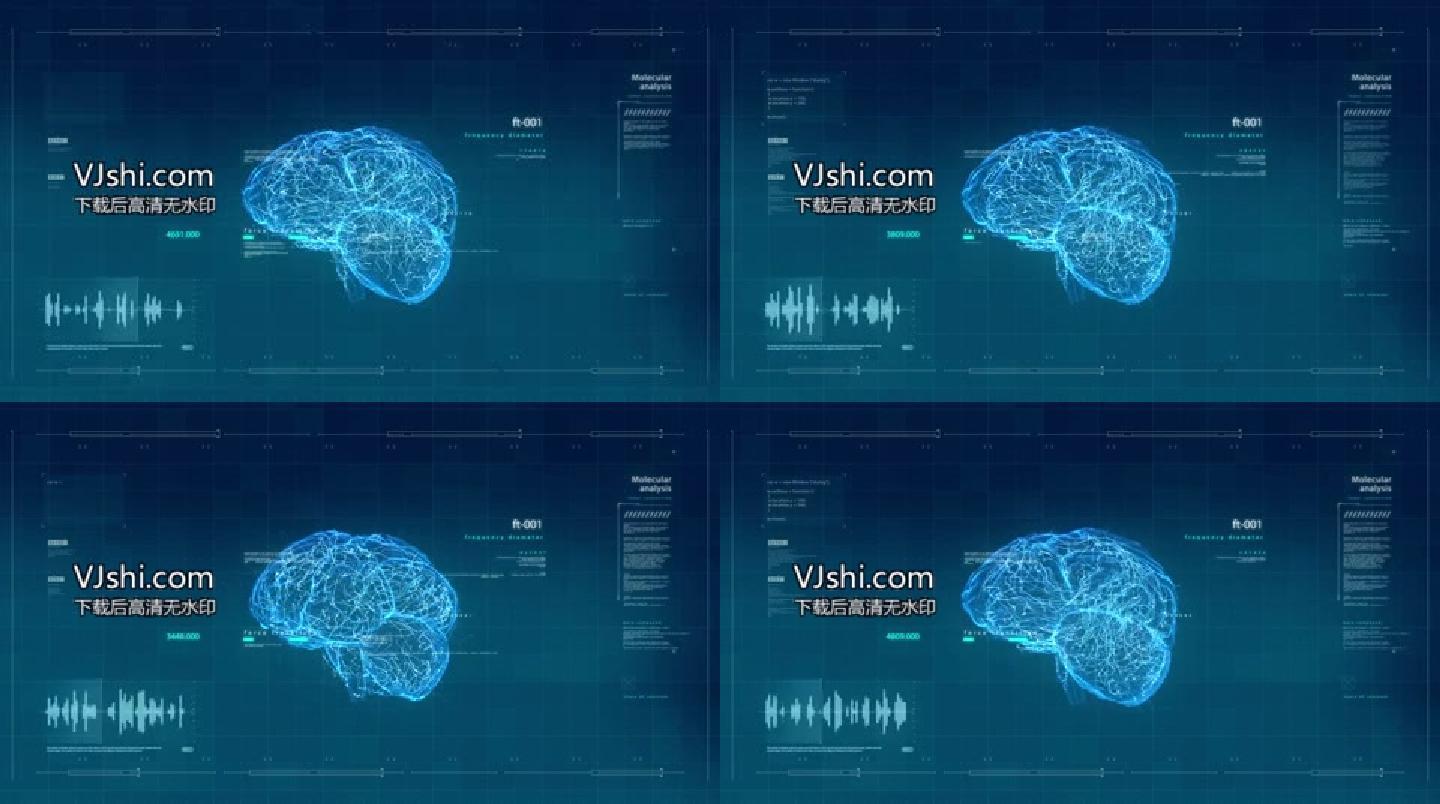 蓝色科技感数据分析大脑信息AE模板