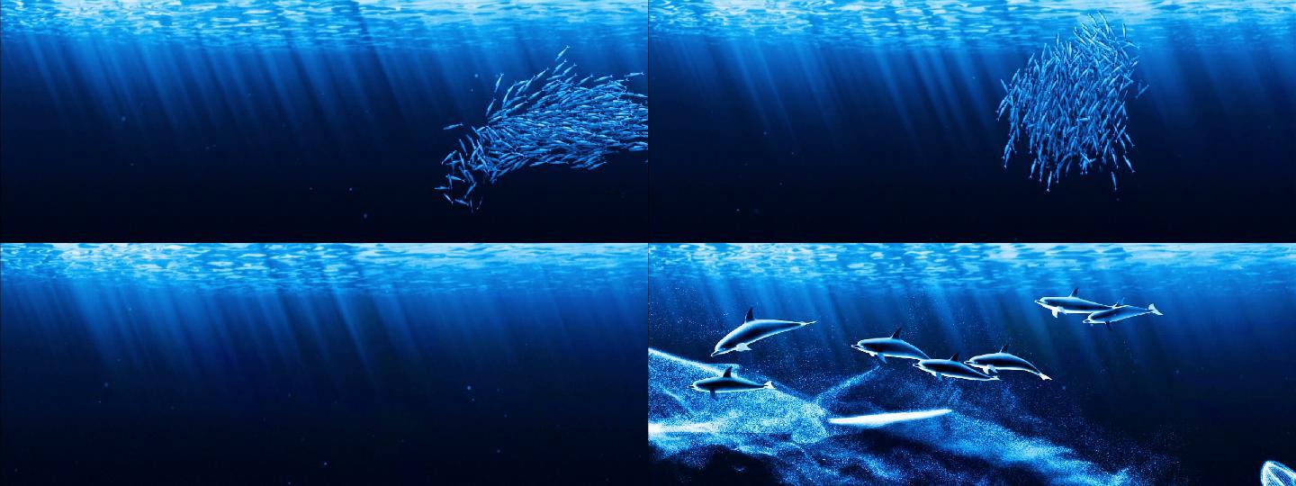 唯美海底世界鱼群鲸鱼海豚