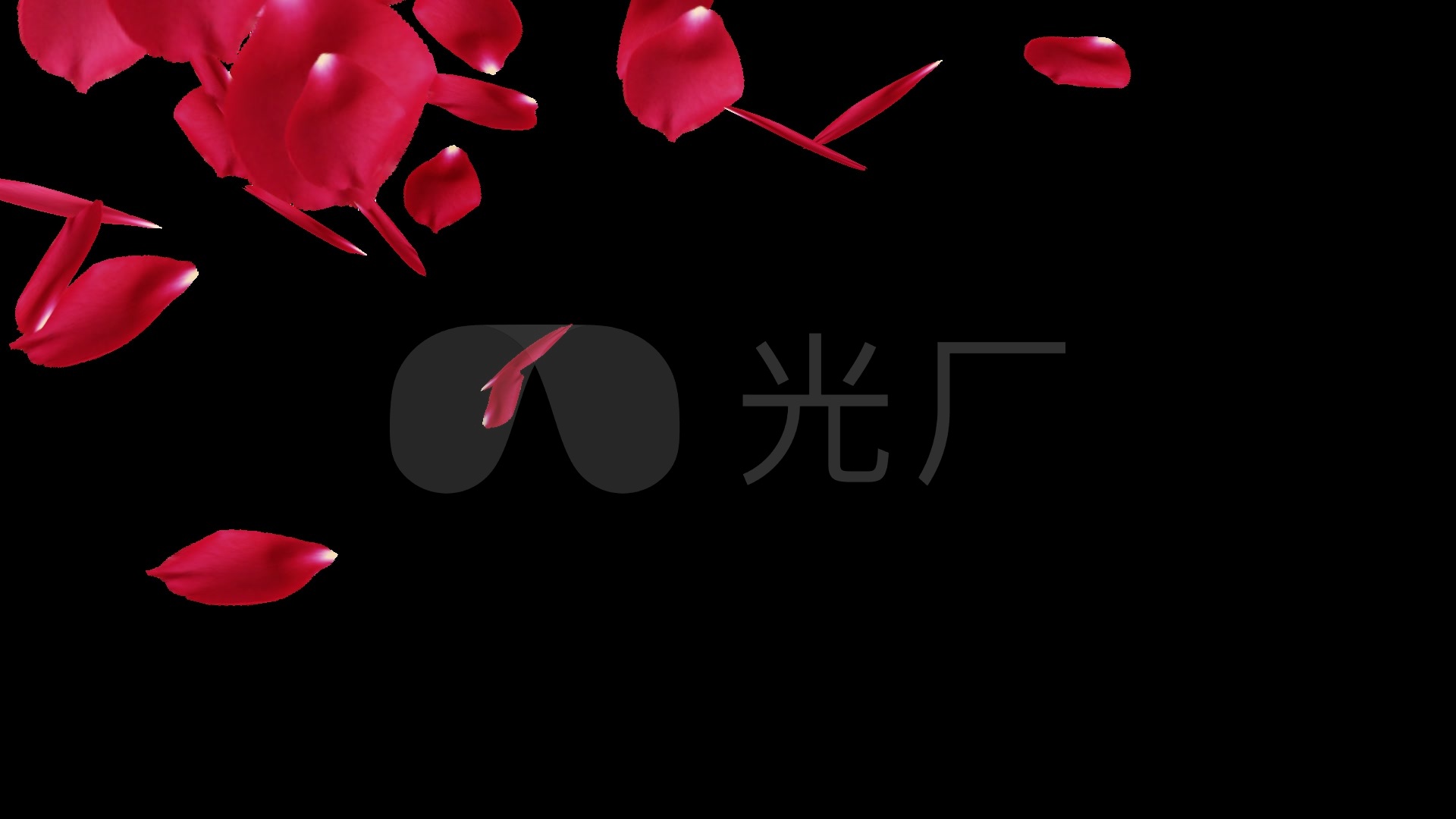 飘落的浪漫玫瑰花瓣素材视频