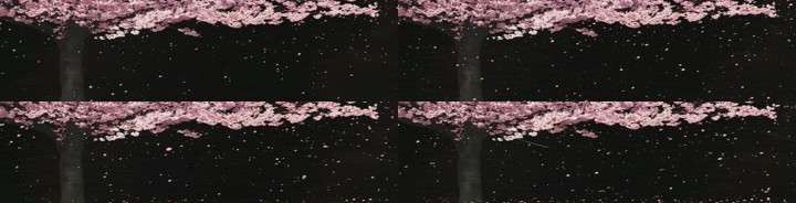 3D全息樱花树