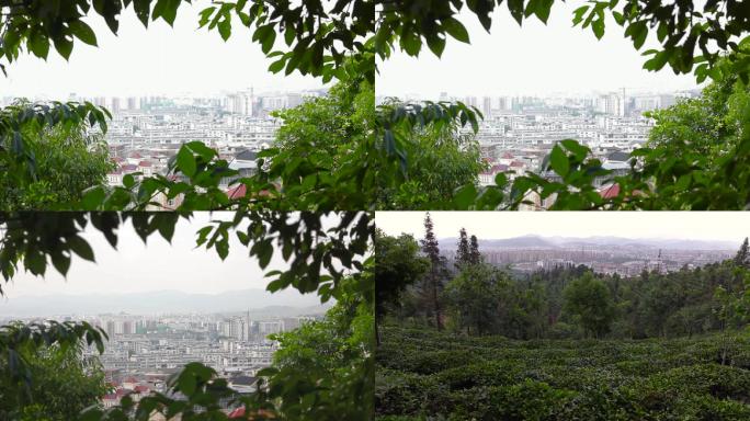 城市被绿植环绕中国茶城绿色城市普洱HD