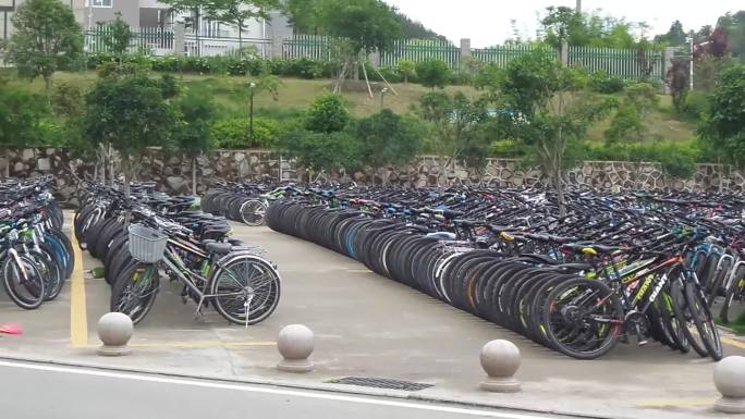 校门口整齐有序排放的自行车