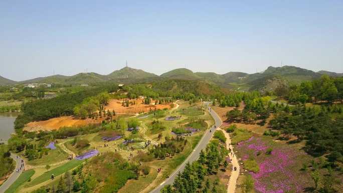 4K春天植物园山坡野花绿地山花烂漫游人